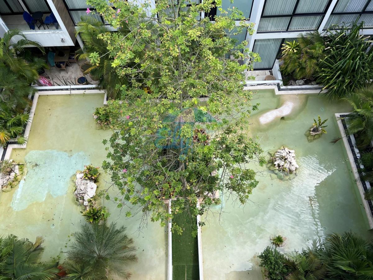 Apartamento Amplio departamento centrico! Playa del Carmen Exterior foto